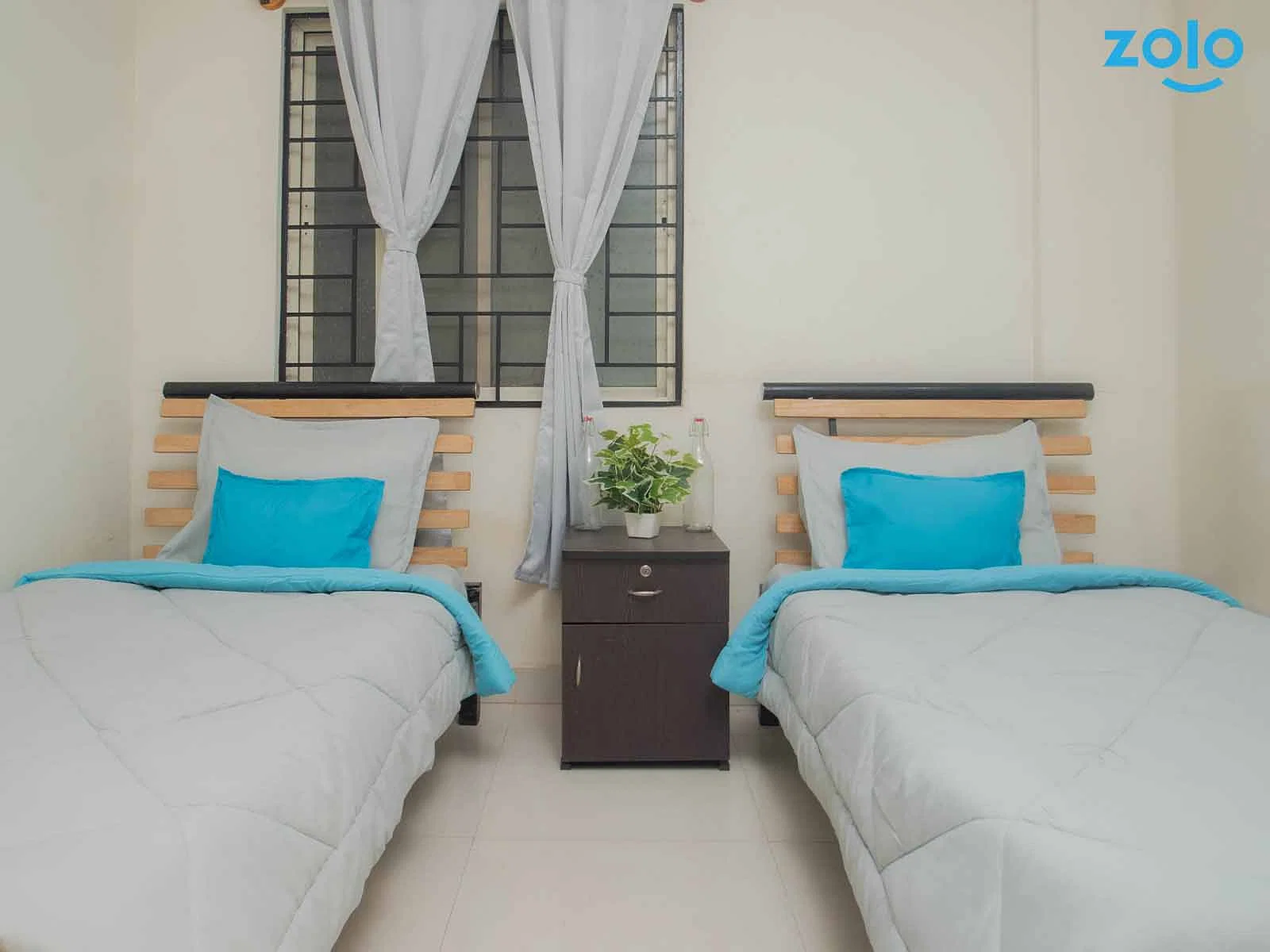 budget-friendly PGs and hostels for unisex with single rooms with daily hopusekeeping-Zolo Ginger