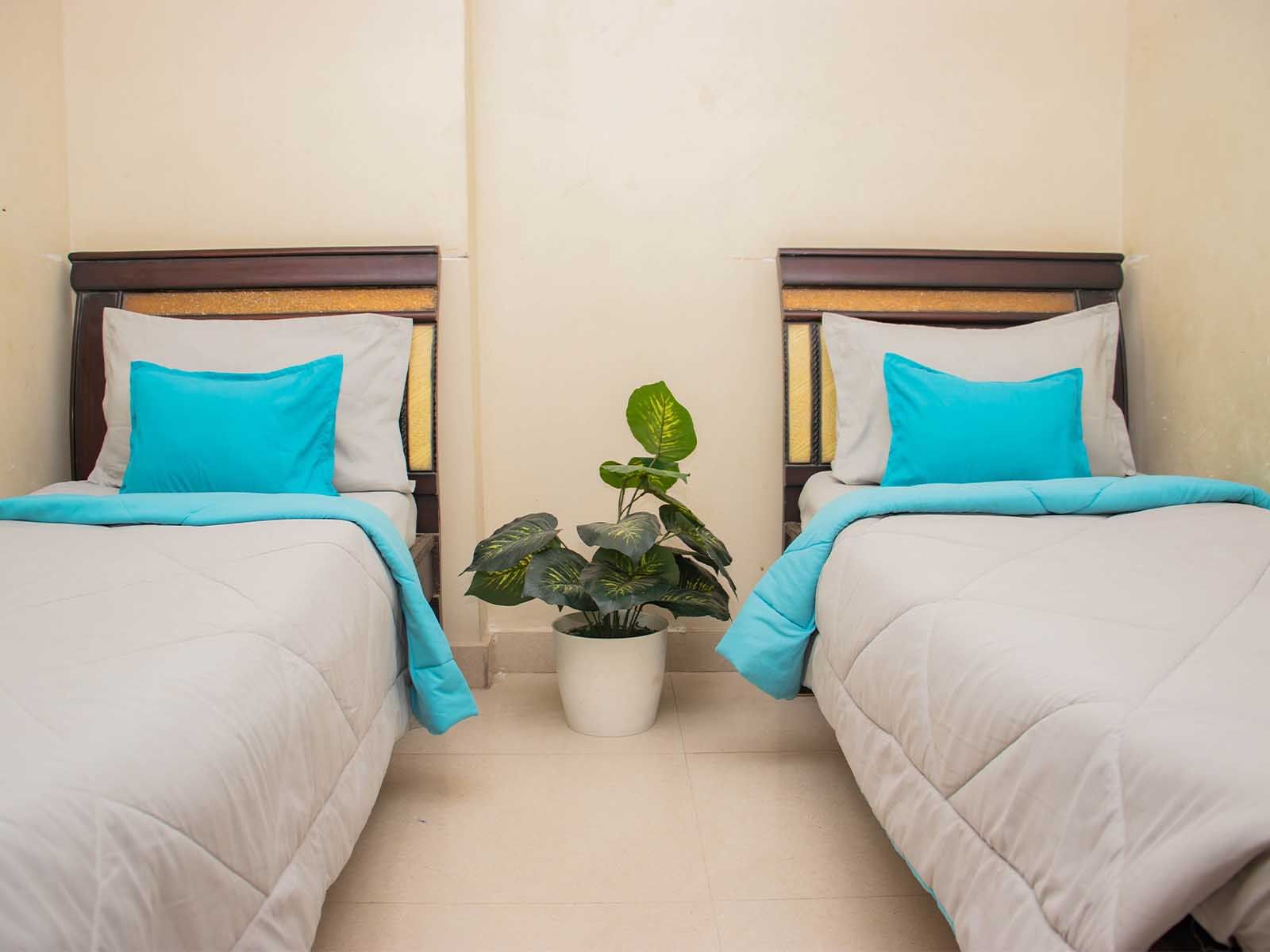 budget-friendly PGs and hostels for unisex with single rooms with daily hopusekeeping-Zolo Styx
