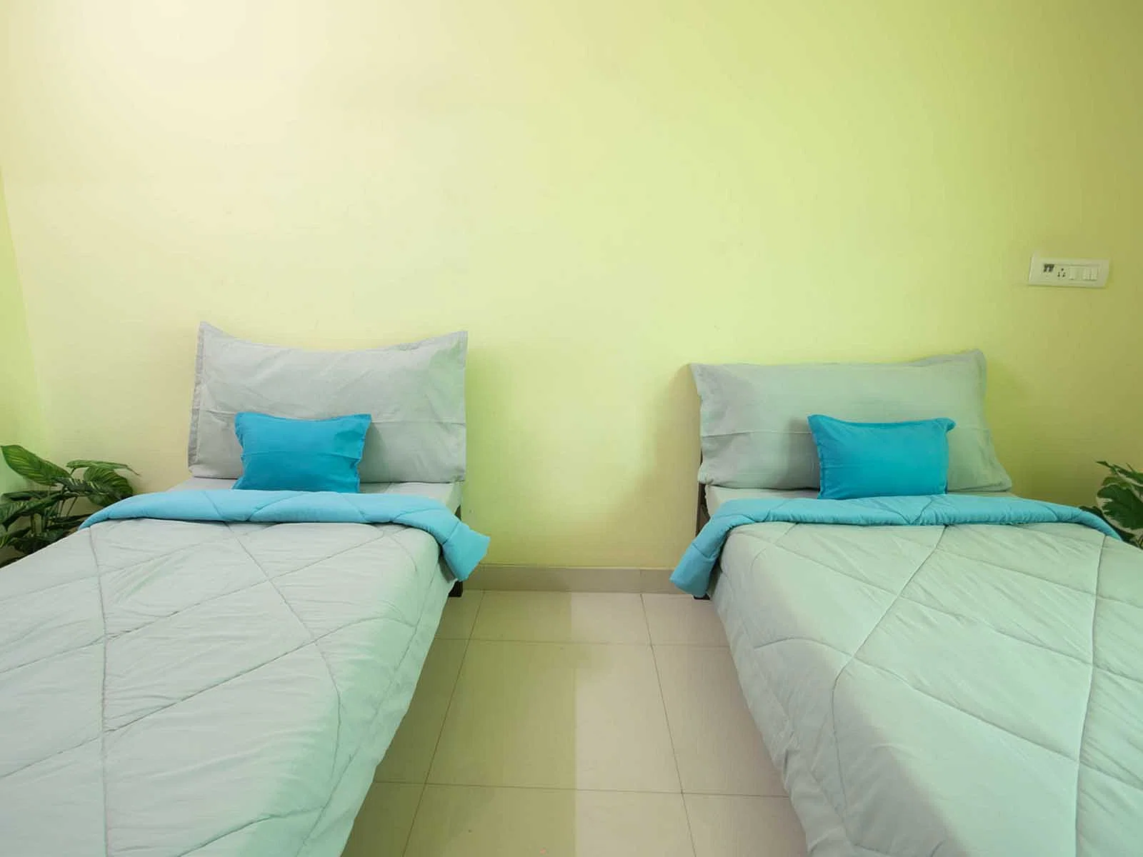 budget-friendly PGs and hostels for men with single rooms with daily hopusekeeping-Zolo Cruze