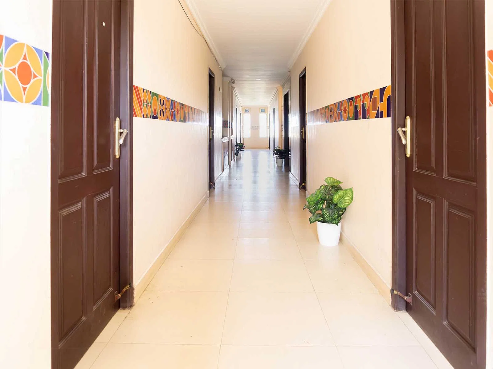 luxury pg rooms for working professionals men with private bathrooms in Chennai-Zolo Royce