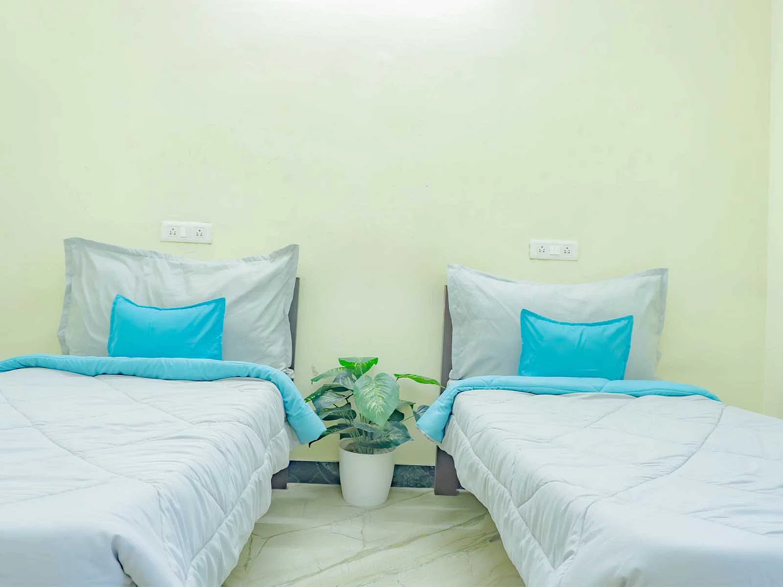 luxury pg rooms for working professionals men with private bathrooms in Chennai-Zolo Nook