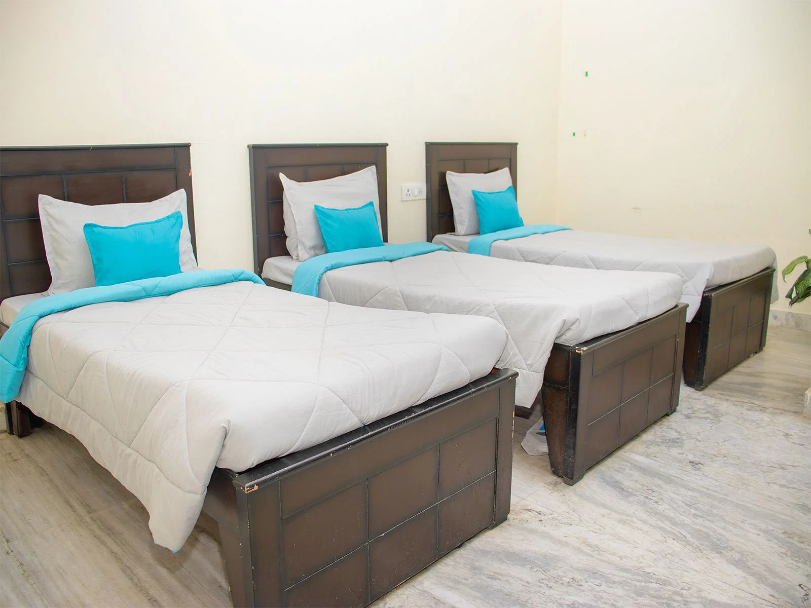 luxury PG accommodations with modern Wi-Fi, AC, and TV in Sector 41-Noida-Zolo Primus