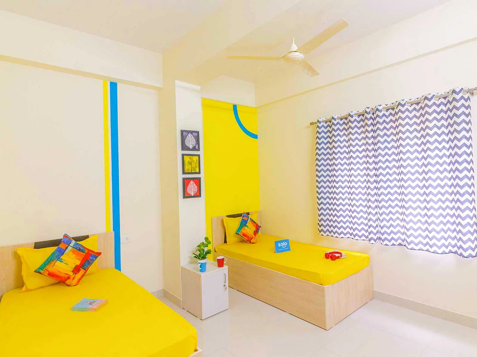 budget-friendly PGs and hostels for men and women with single rooms with daily hopusekeeping-Zolo Phantom