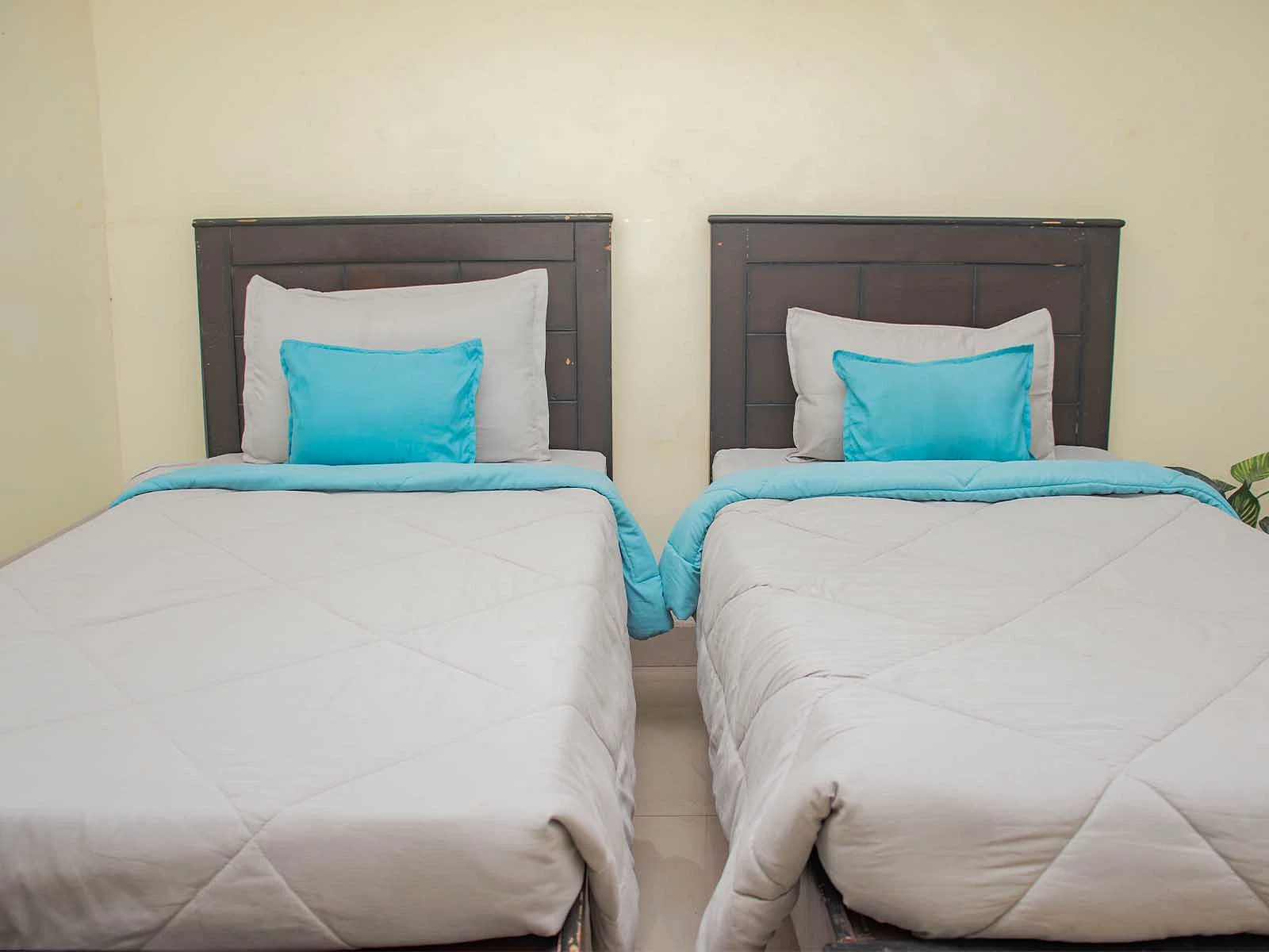 luxury pg rooms for working professionals boys with private bathrooms in Noida-Zolo County