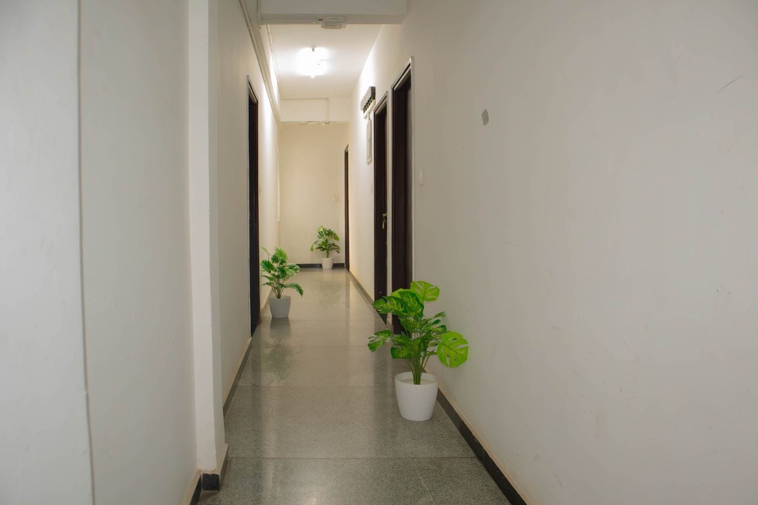 luxury PG accommodations with modern Wi-Fi, AC, and TV in Koramangala-Bangalore-Zolo Harmony