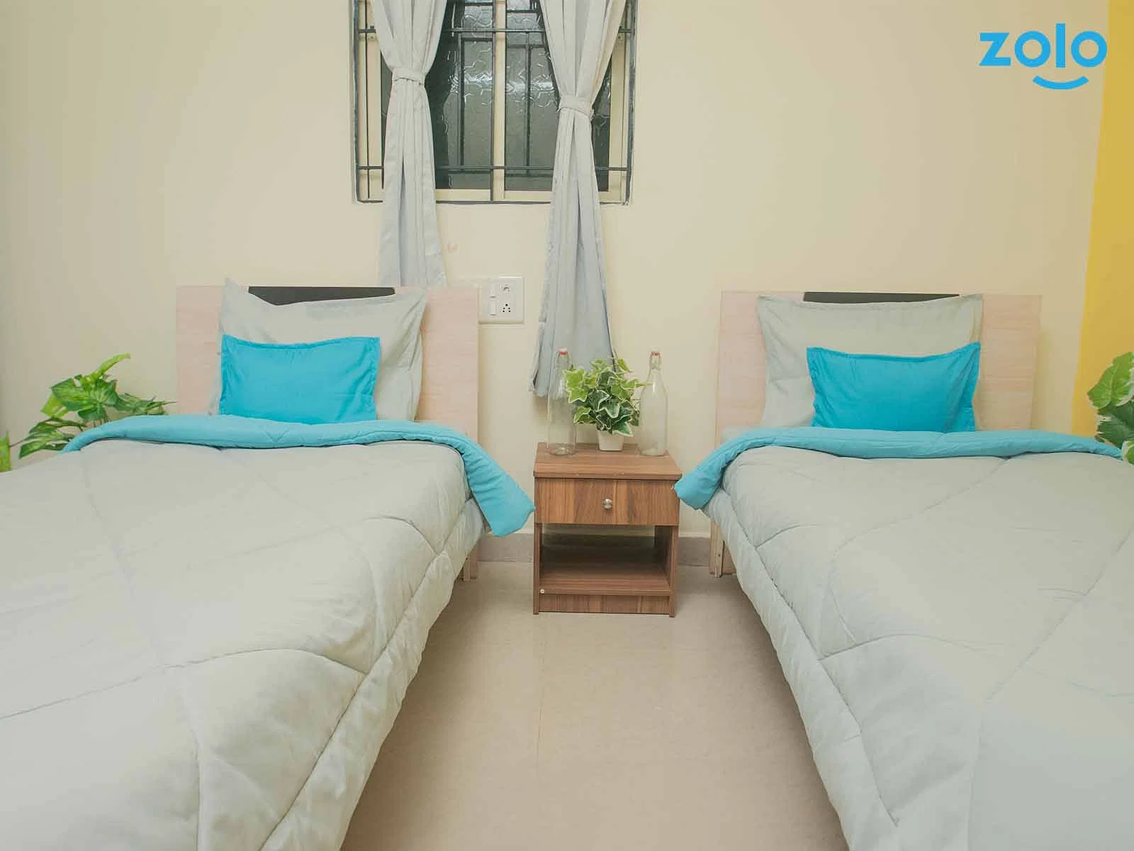 fully furnished Zolo single rooms for rent near me-check out now-Zolo Anise