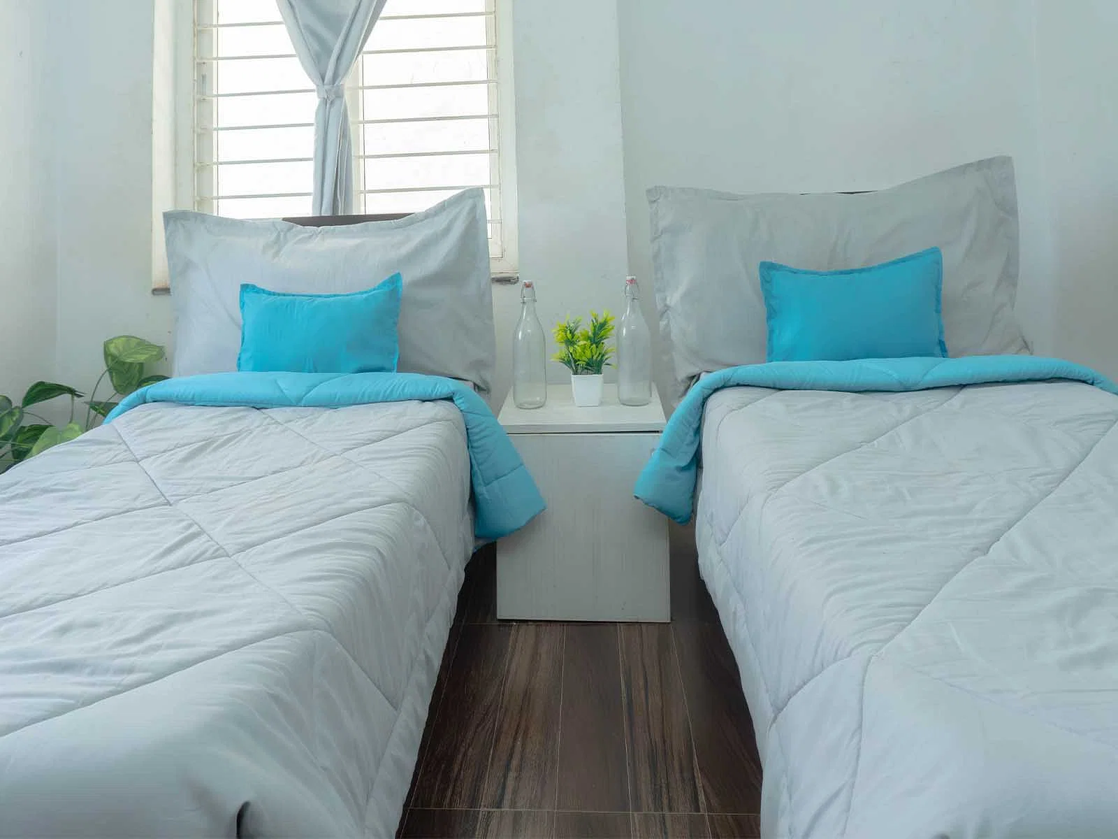 fully furnished Zolo single rooms for rent near me-check out now-Zolo Aqua