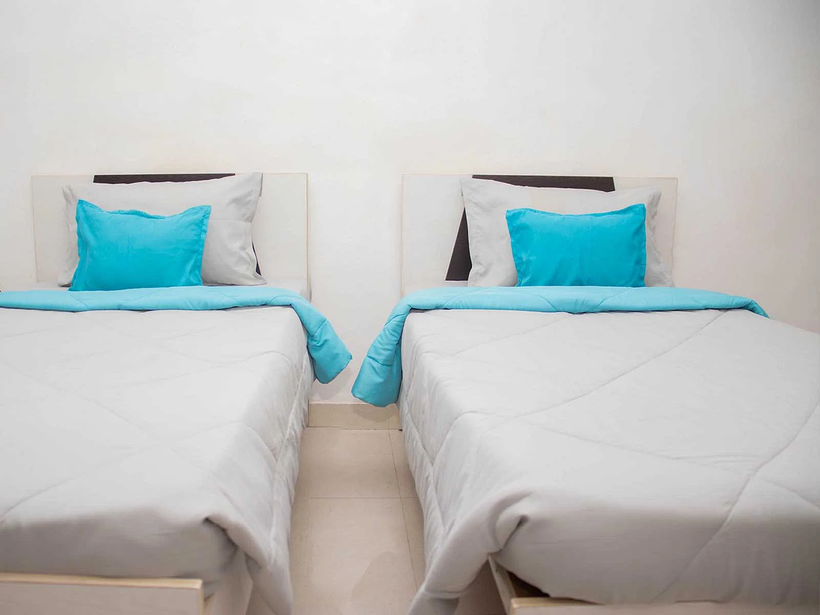 budget-friendly PGs and hostels for boys and girls with single rooms with daily hopusekeeping-Zolo Cube