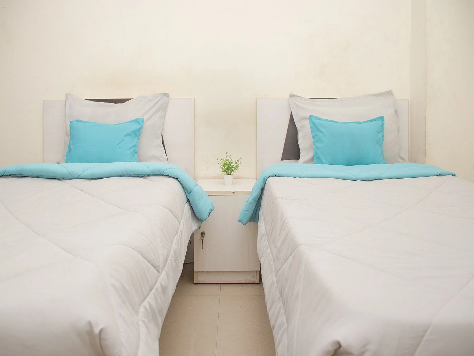 pgs in Sector 27 with Daily housekeeping facilities and free Wi-Fi-Zolo Bright