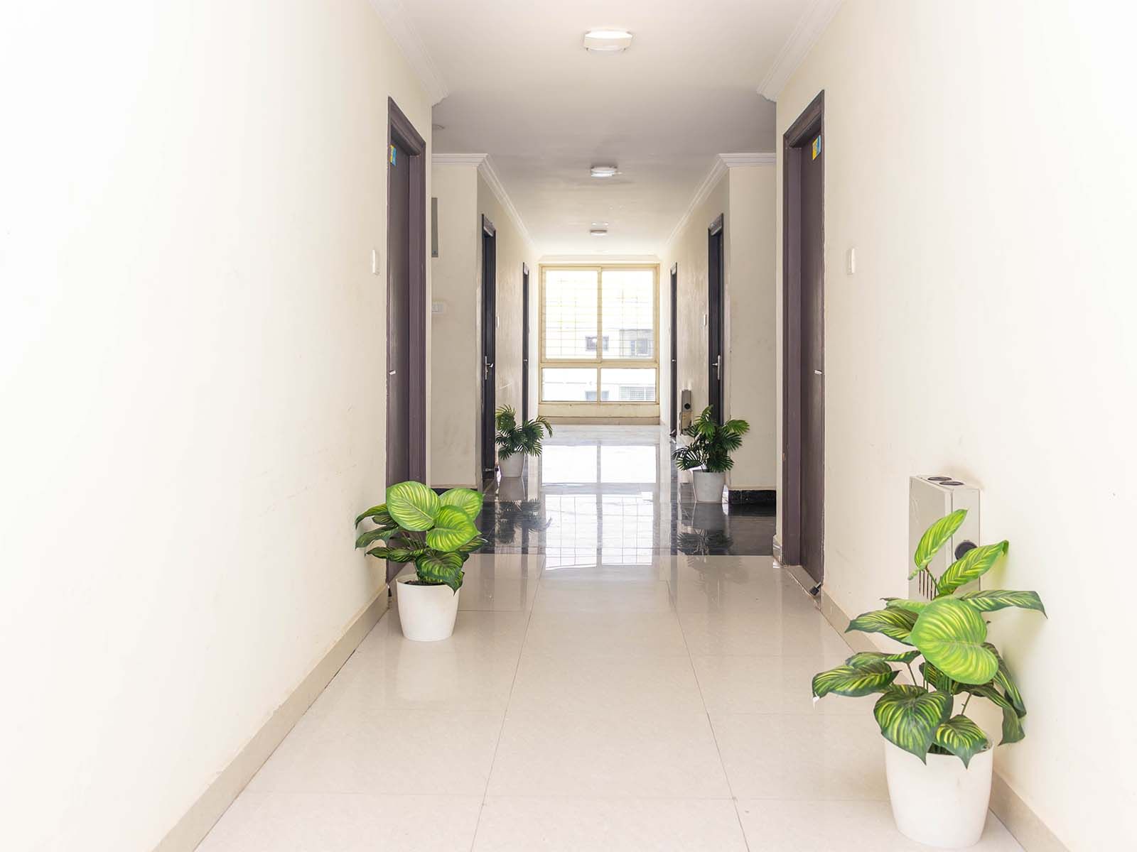 luxury pg rooms for working professionals gents with private bathrooms in Hyderabad-Zolo Silverstone