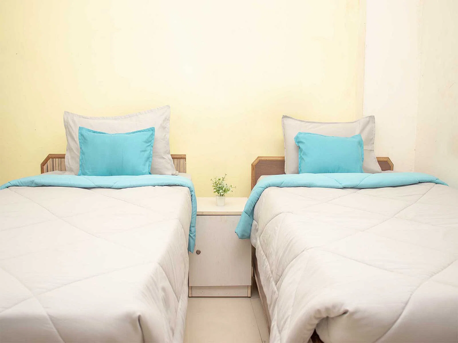 luxury PG accommodations with modern Wi-Fi, AC, and TV in Sector 27-Noida-Zolo Kites