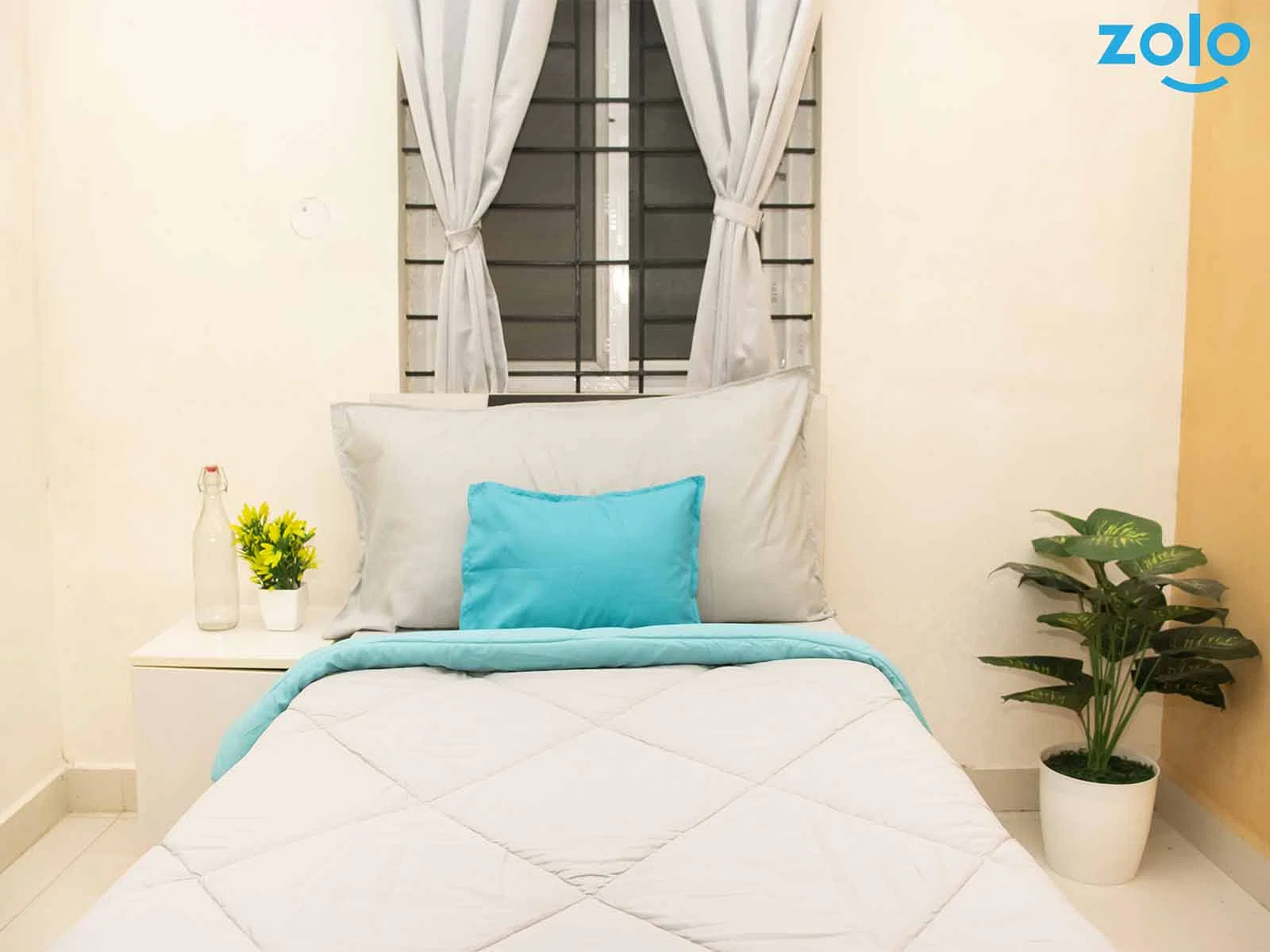 fully furnished Zolo single rooms for rent near me-check out now-Zolo Chronicle