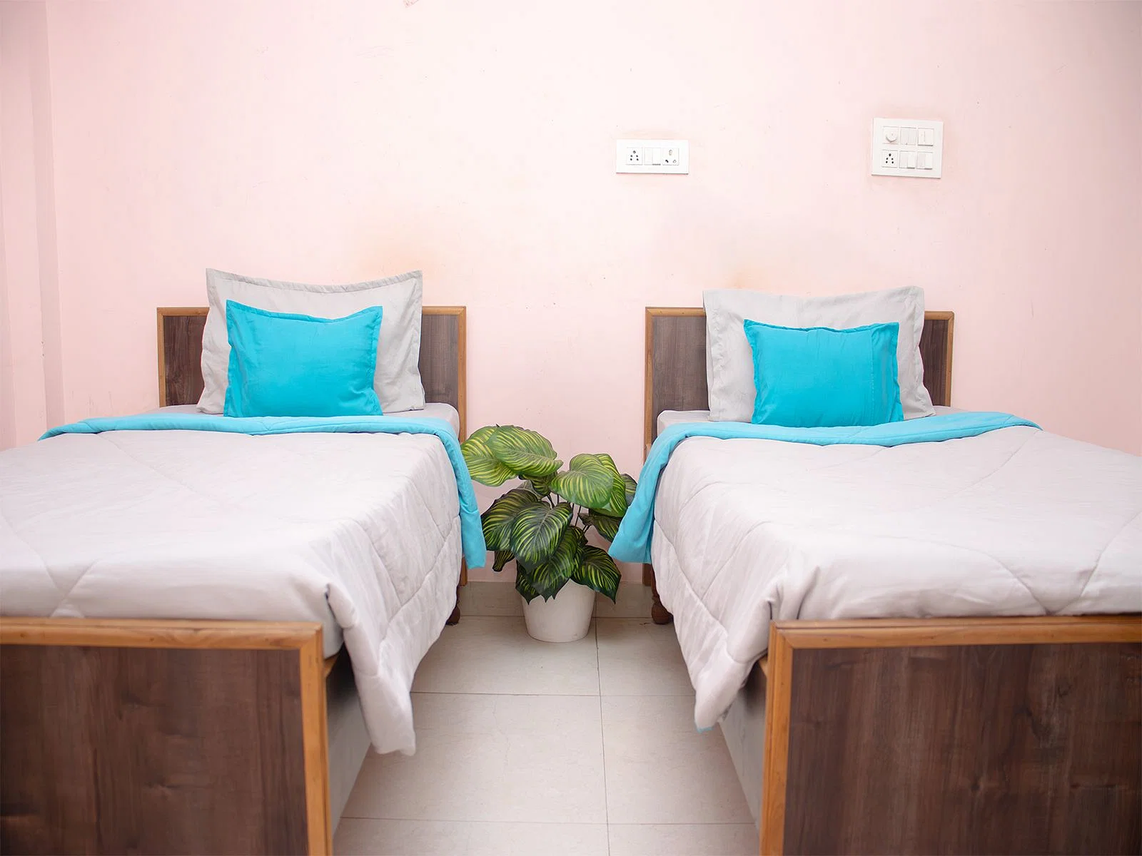 luxury PG accommodations with modern Wi-Fi, AC, and TV in Sector 22-Noida-Zolo Aloha