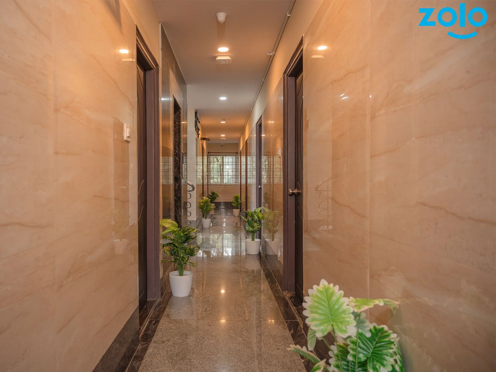 luxury PG accommodations with modern Wi-Fi, AC, and TV in Koramangala-Bangalore-Zolo Raptor