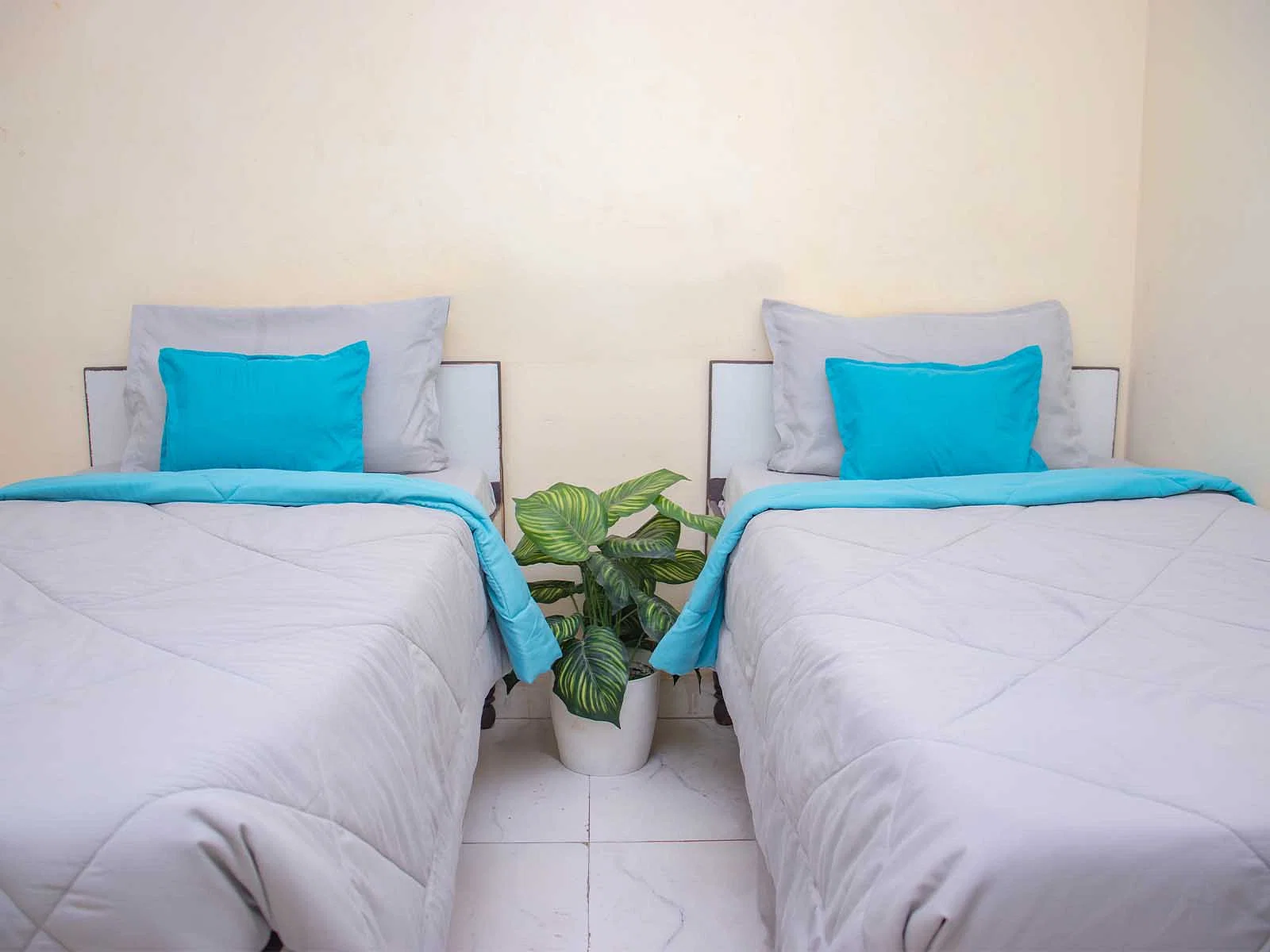 best Coliving rooms with high-speed Wi-Fi, shared kitchens, and laundry facilities-Zolo Famous