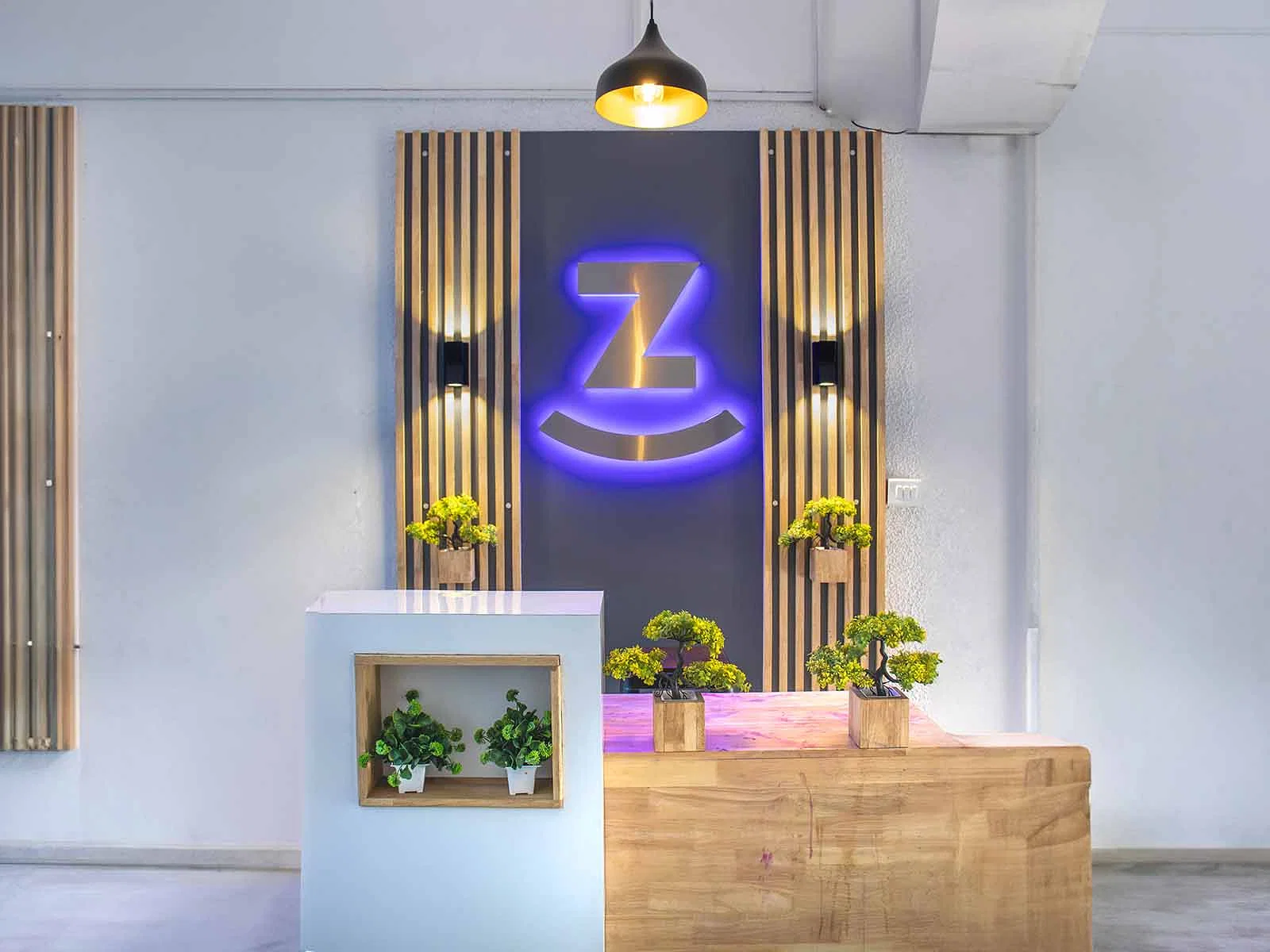 fully furnished Zolo single rooms for rent near me-check out now-Zolo Venus