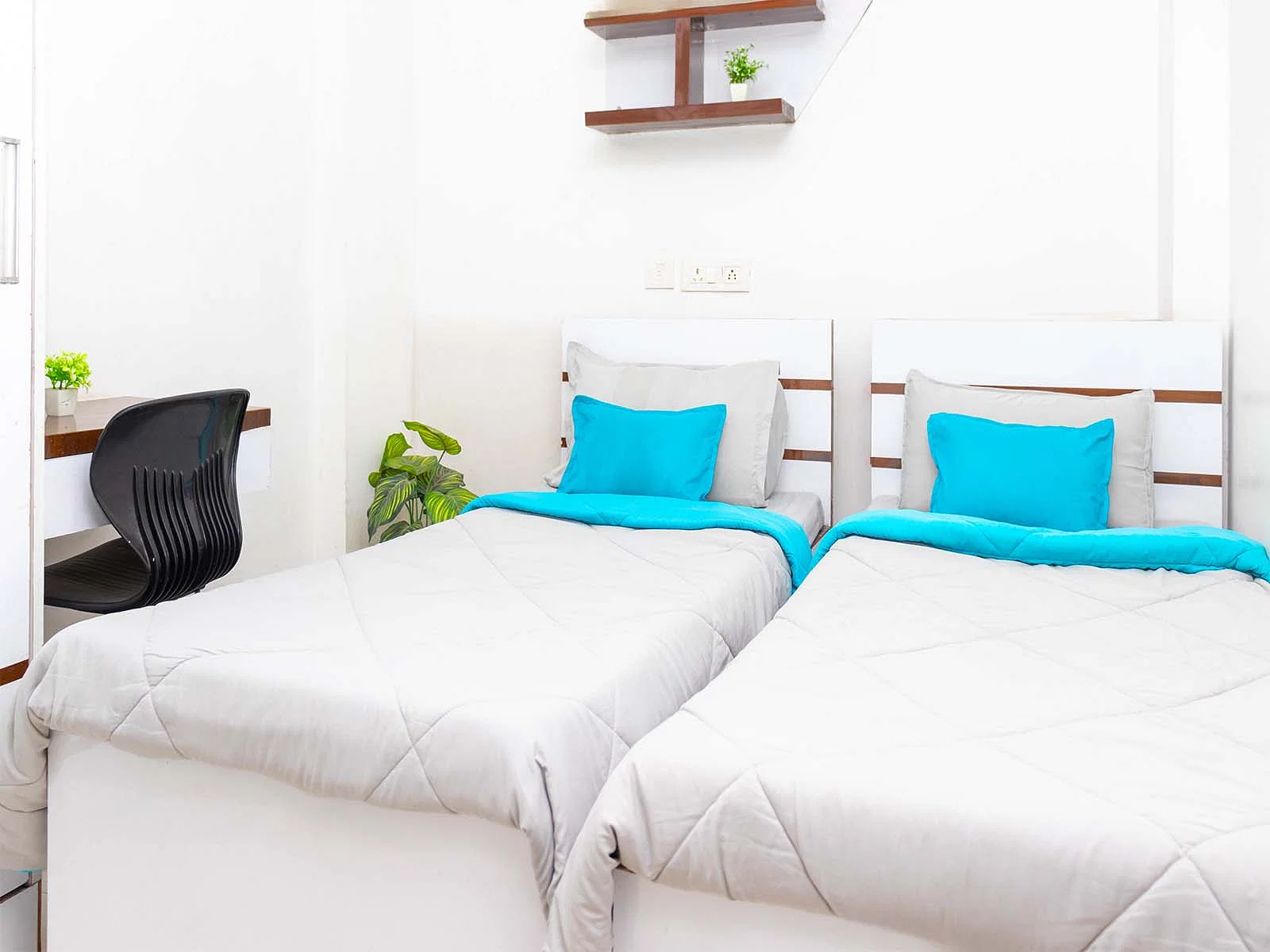 pgs in Sec 126 Noida with Daily housekeeping facilities and free Wi-Fi-Zolo Astrix