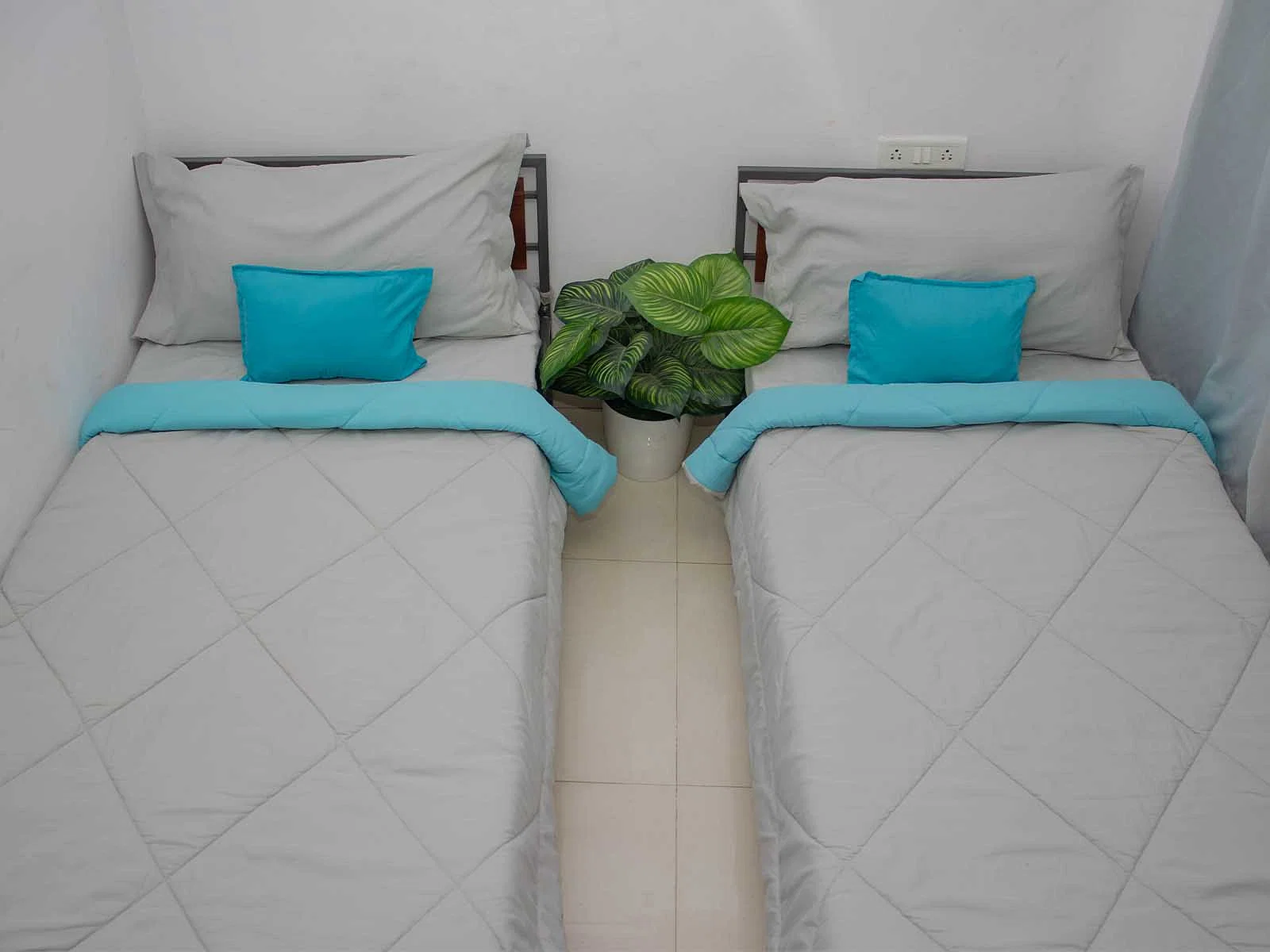 budget-friendly PGs and hostels for men with single rooms with daily hopusekeeping-Zolo Valor