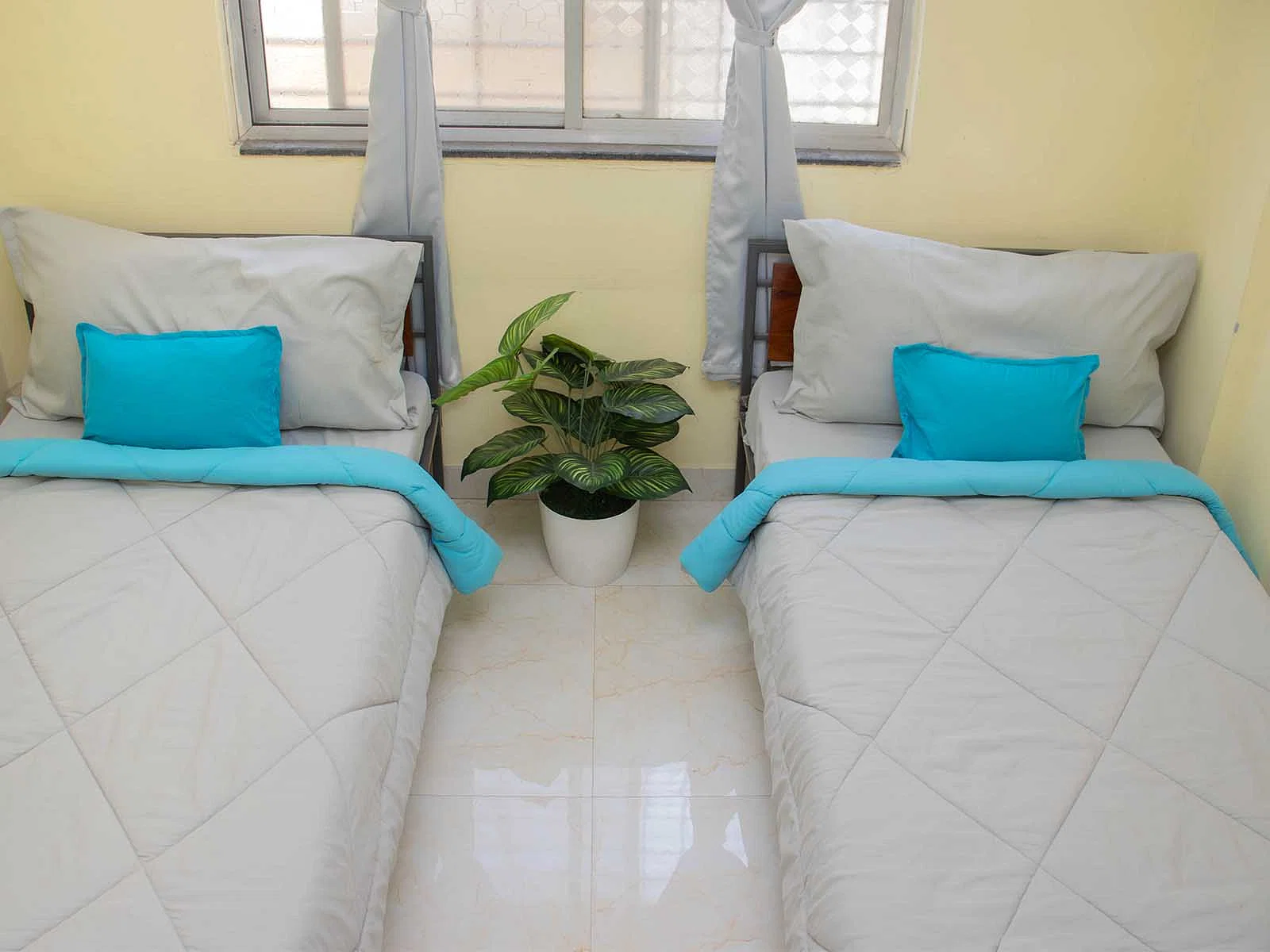 fully furnished Zolo single rooms for rent near me-check out now-Zolo Wisdom