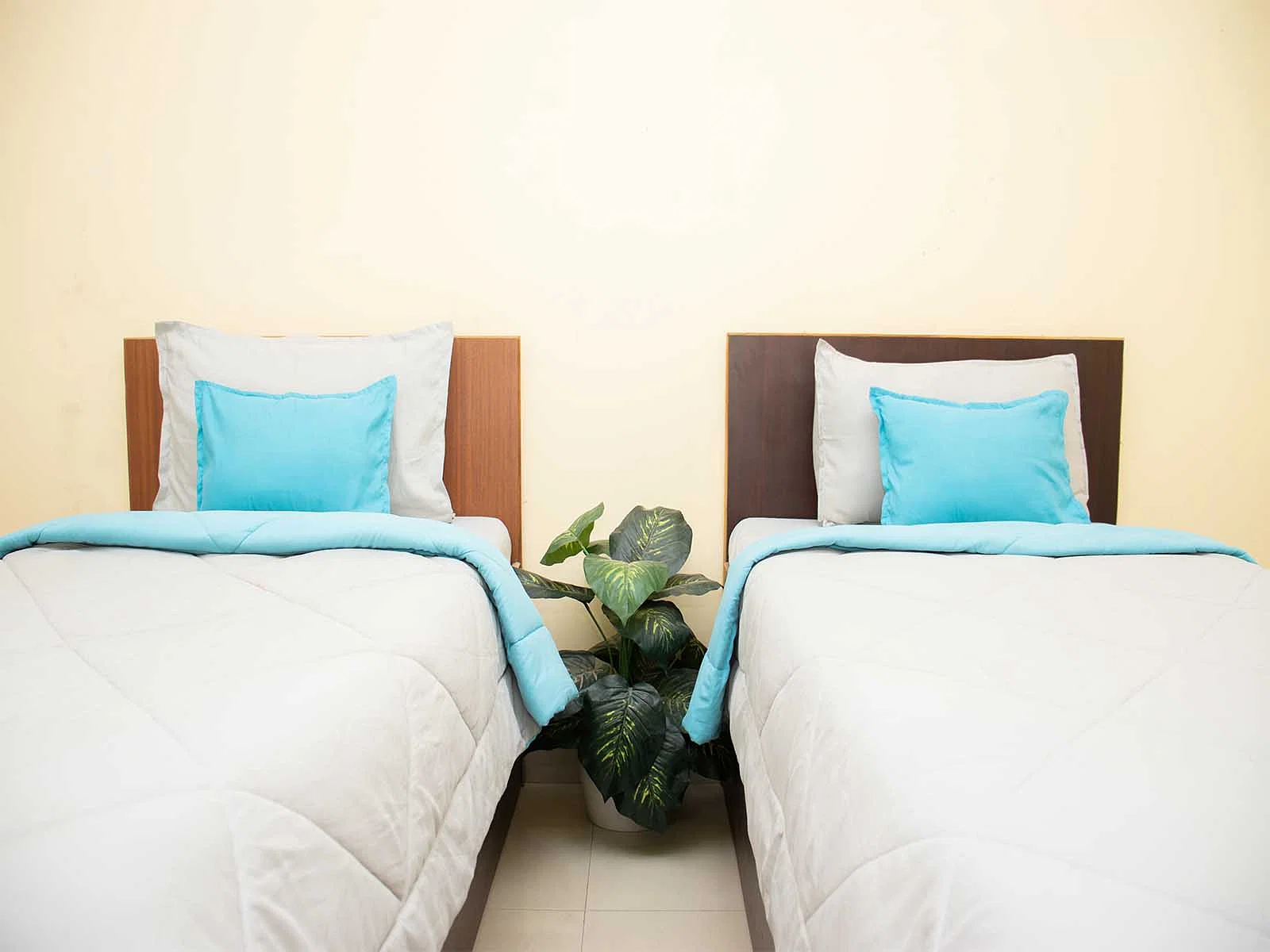 luxury PG accommodations with modern Wi-Fi, AC, and TV in Sector 104-Noida-Zolo Newcastle