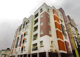 luxury pg rooms for working professionals couple with private bathrooms in Chennai-Zolo Cyan