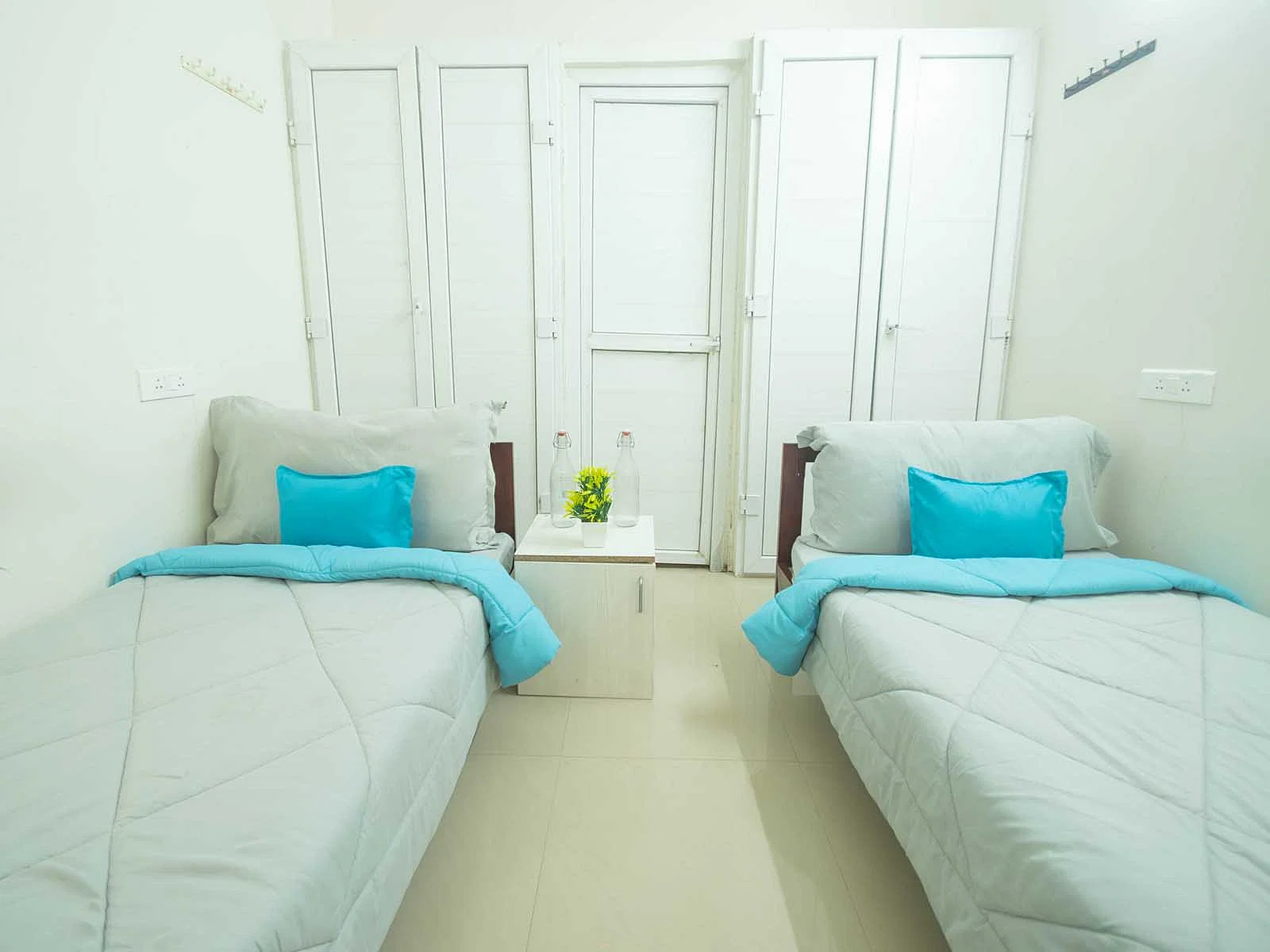 budget-friendly PGs and hostels for men with single rooms with daily hopusekeeping-Zolo Playa B