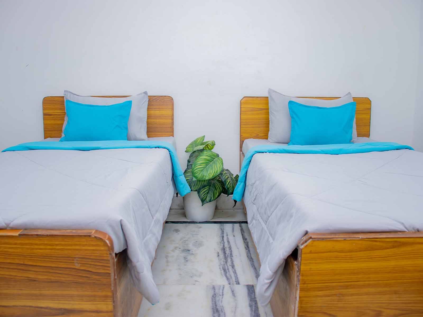 budget-friendly PGs and hostels for men and women with single rooms with daily hopusekeeping-Zolo Cherry