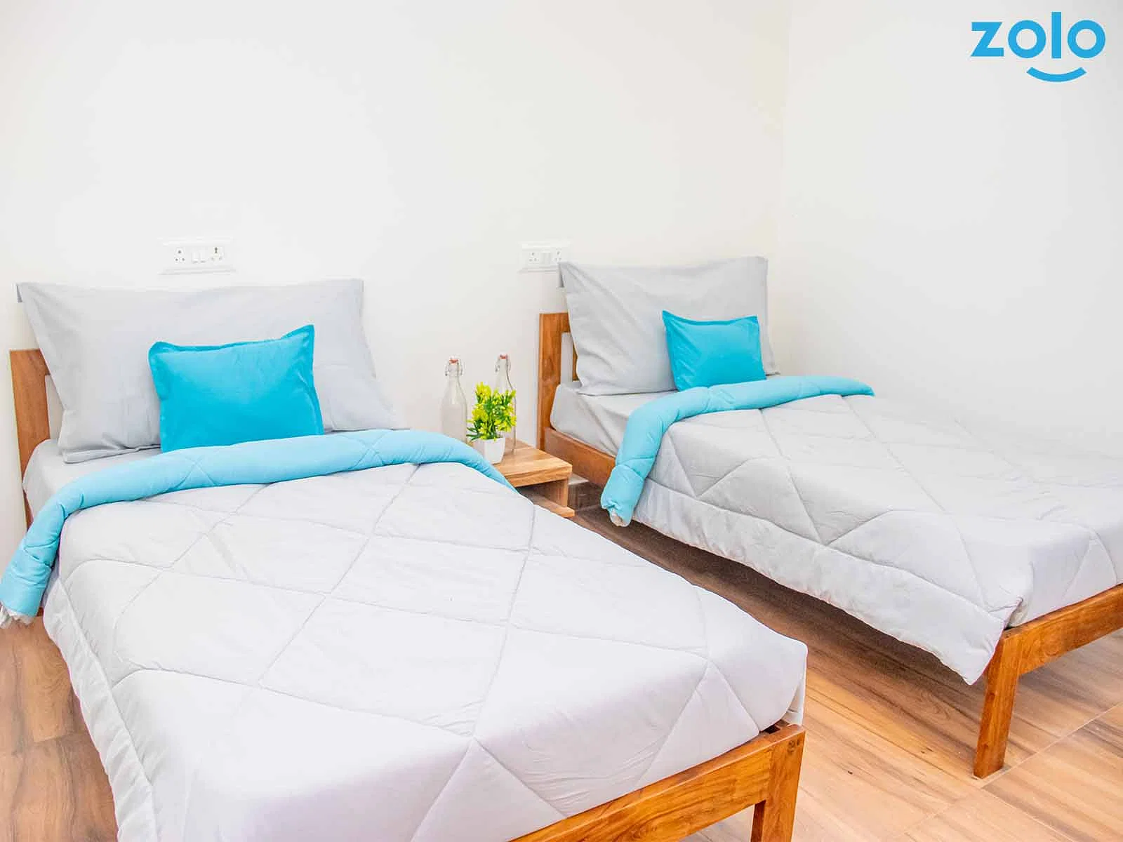 luxury PG accommodations with modern Wi-Fi, AC, and TV in HSR Layout-Bangalore-Zolo Akshala