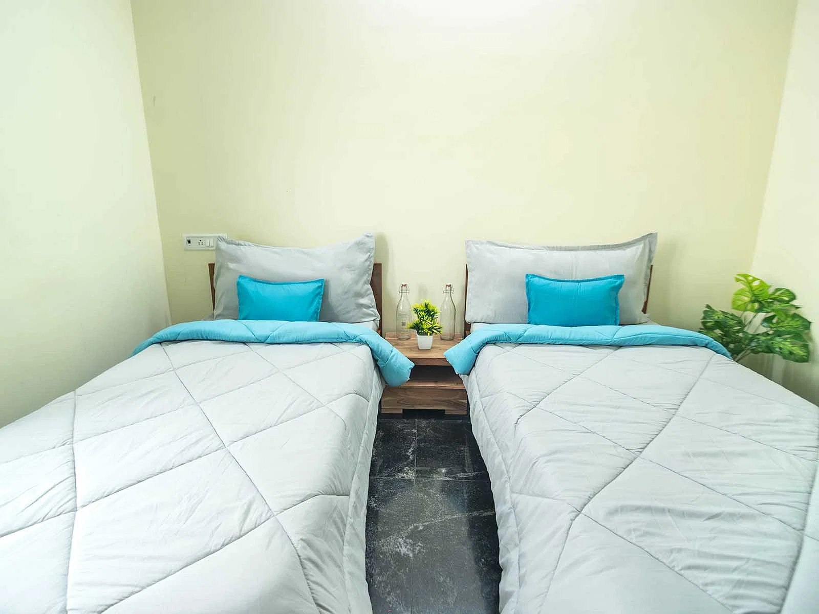 Affordable single rooms for students and working professionals in Adyar-Chennai-Zolo Logos