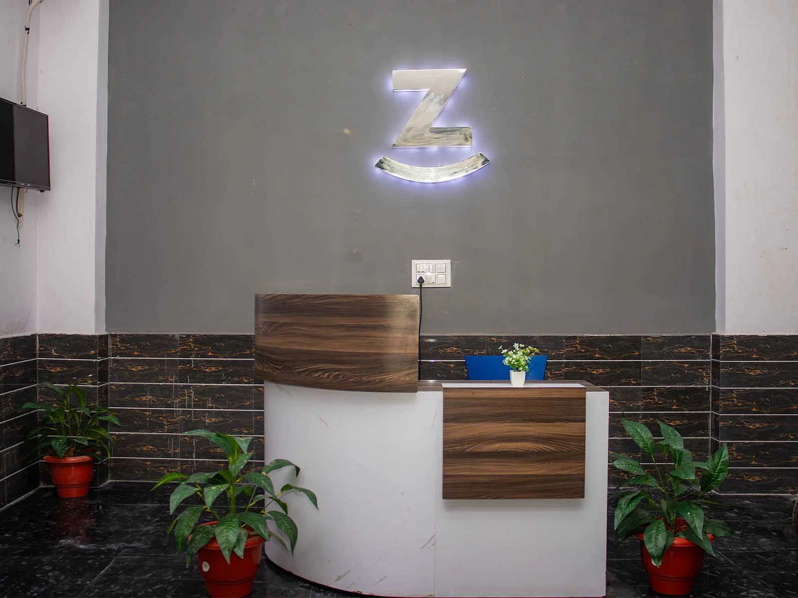 luxury pg rooms for working professionals men and women with private bathrooms in Noida-Zolo Avon